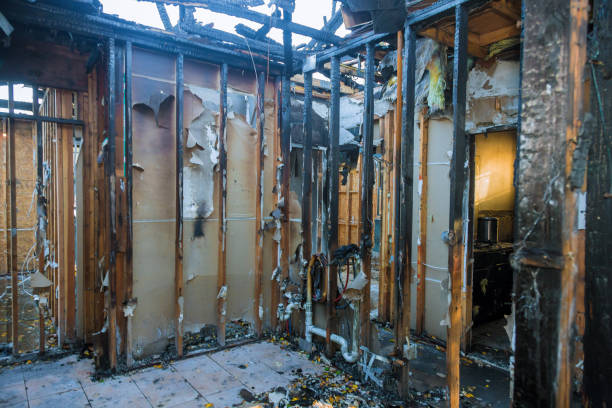 Professional Smoke Damage Removal technician working in West River, MD
